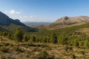 Scenic landscape of a natural park in Almería with rocky hills, pine trees, and hiking trails