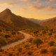 Alcontar landscape Almeria with warm sunlight, olive trees and Sierra de los Filabres mountains