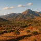 Warm Andalusian landscape near Alicun, Almeria, with olive groves and the Andarax Valley under the Sierra de Gador mountains
