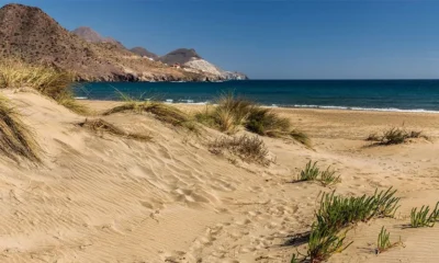 Playa de los Genoveses beach in Cabo de Gata – wide sandy bay near San Jose, Almeria