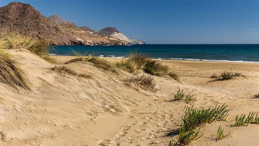 Playa de los Genoveses beach in Cabo de Gata – wide sandy bay near San Jose, Almeria