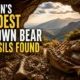 Brown bear fossils in cave in Sierra de Gador Almeria