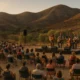 Community benefit concert outdoors in Almeria supporting wildfire-affected families.
