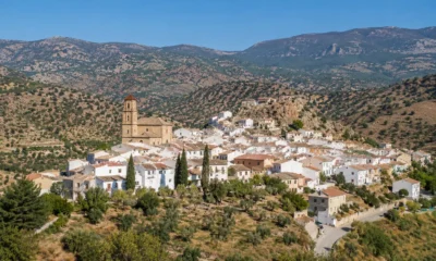 Panoramic view of Lubrín, a traditional white village in Almería, surrounded by olive groves, almond orchards and the rolling hills of the Sierra de los Filabres.