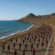 Hundreds of runners in La Desertica ultramarathon along Almeria Mediterranean coast.